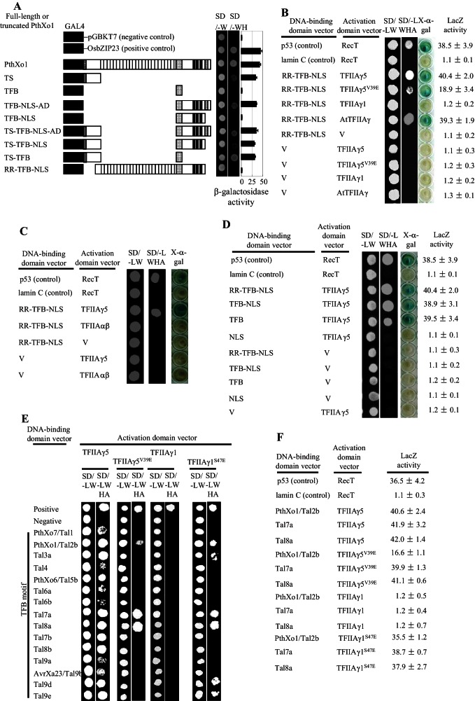 Figure 2—figure supplement 1.