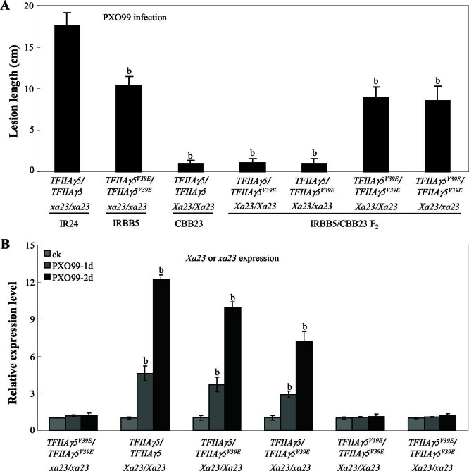 Figure 1—figure supplement 2.