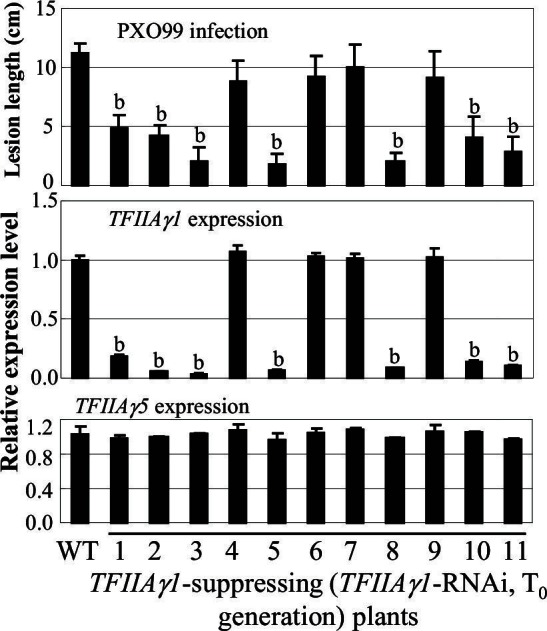 Figure 4—figure supplement 3.