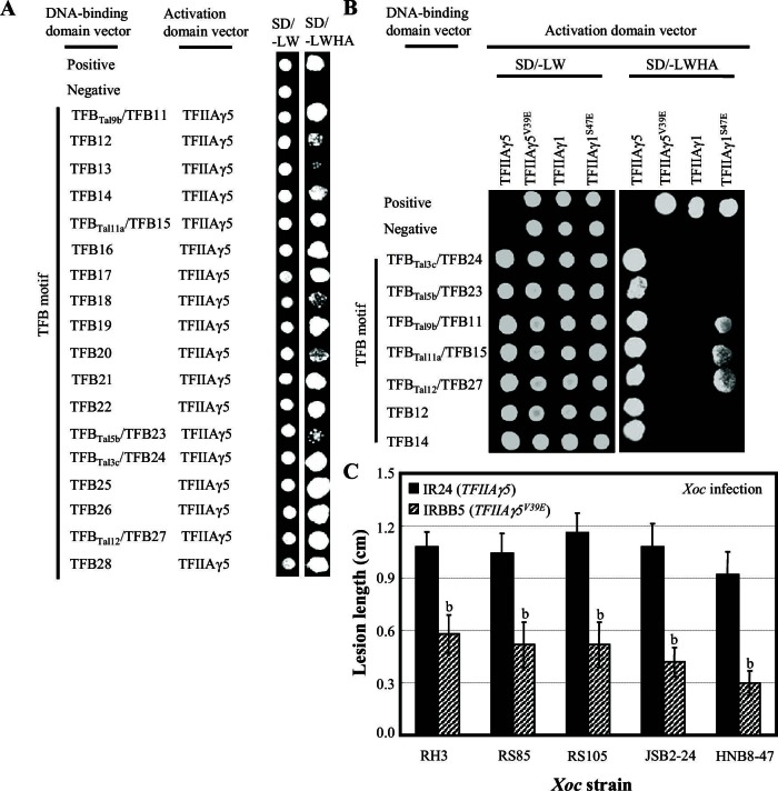 Figure 5—figure supplement 2.