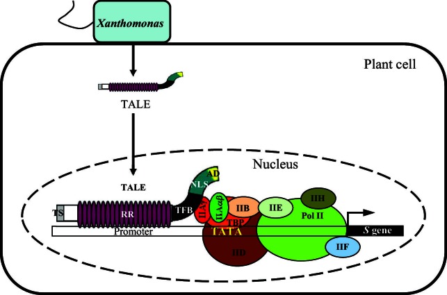 Figure 6.