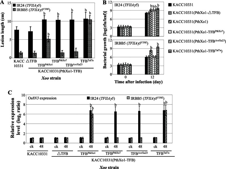 Figure 3—figure supplement 1.