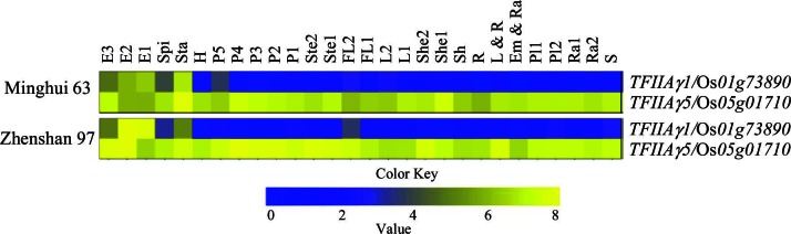 Figure 4—figure supplement 1.