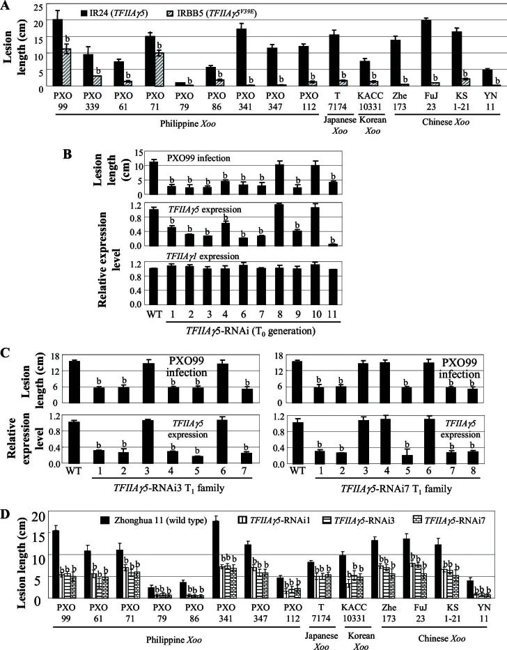 Figure 1—figure supplement 1.