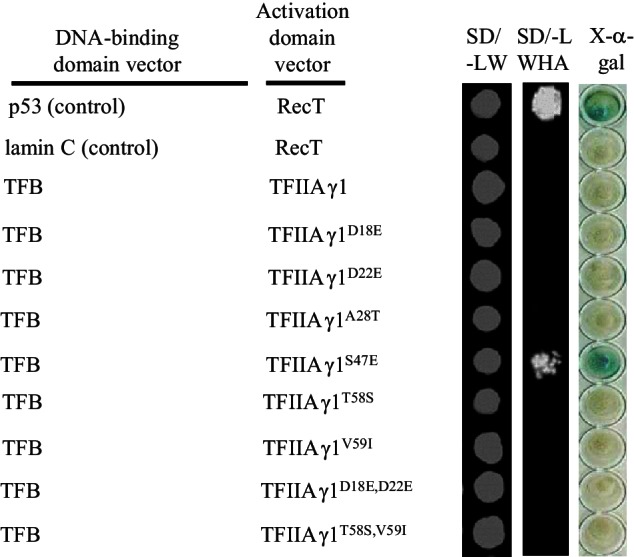 Figure 4—figure supplement 2.