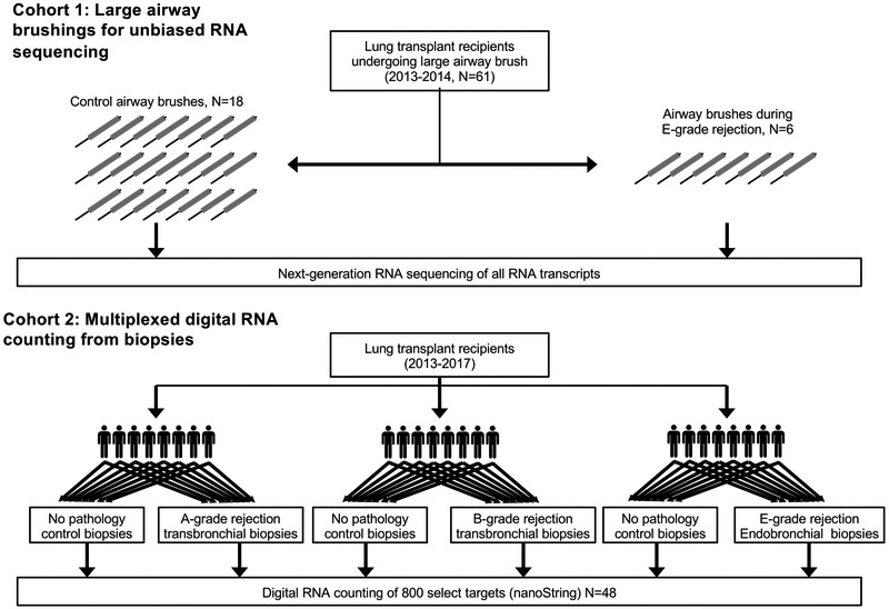 Figure 1: