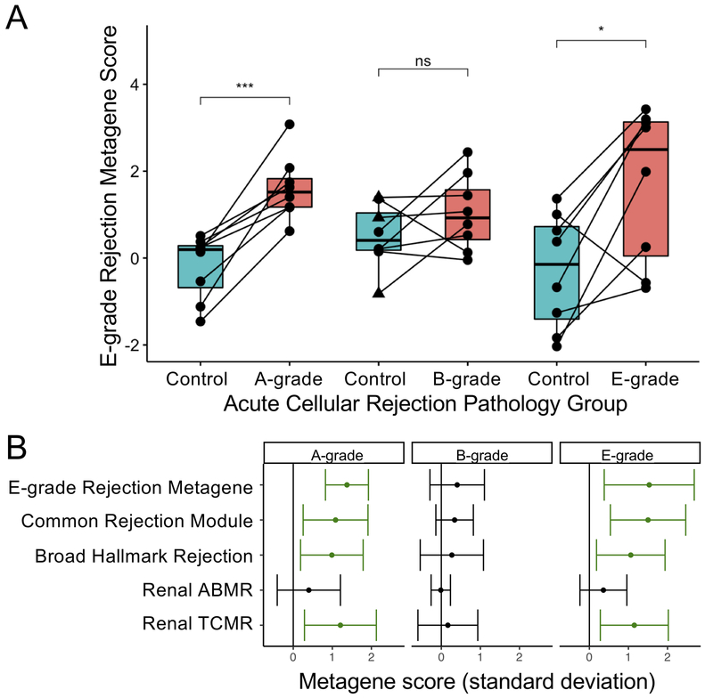 Figure 4: