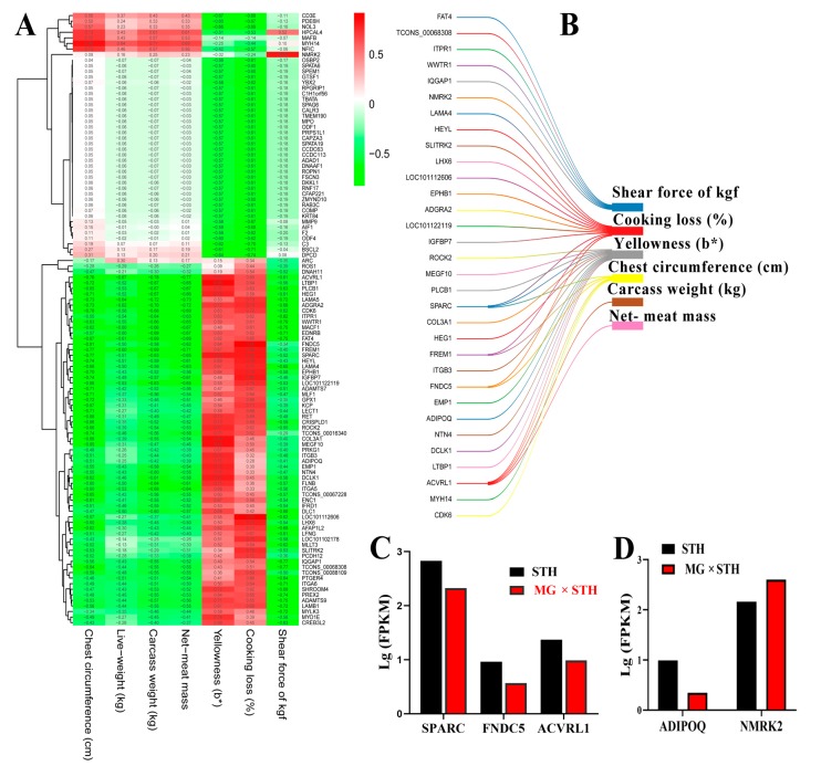 Figure 4