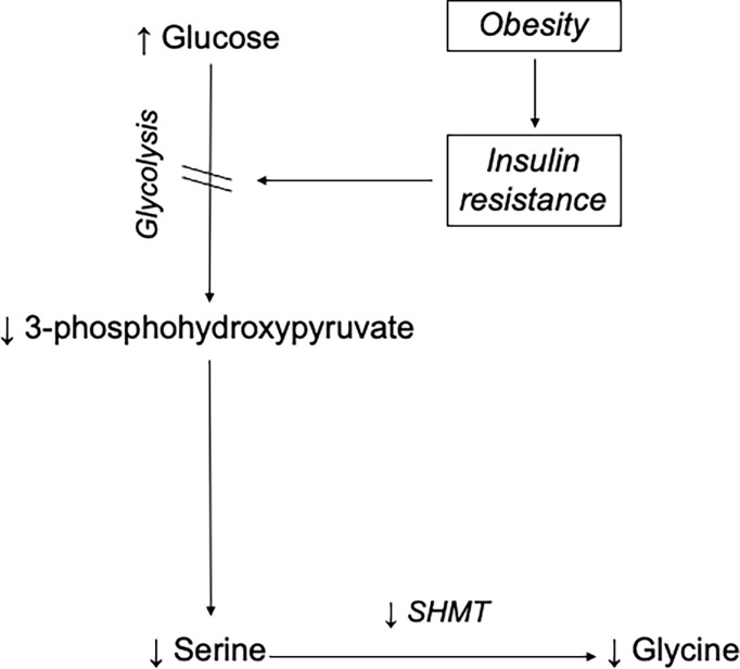 Figure 5