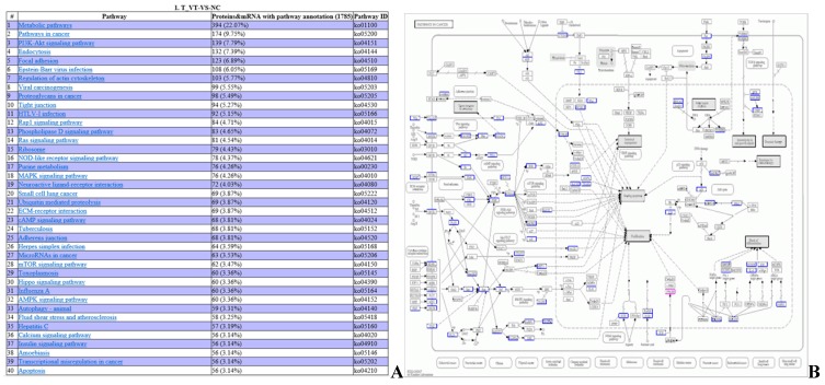 Fig 12