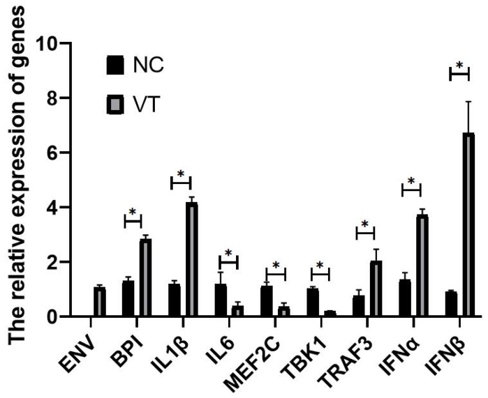 Fig 13