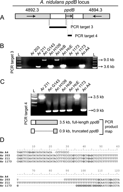 FIG. 6.