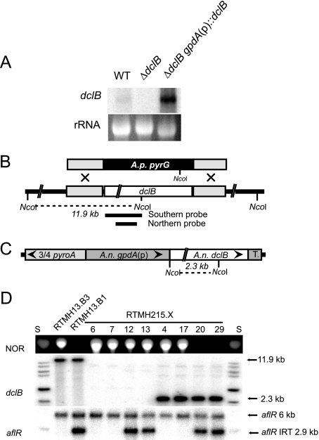 FIG. 7.