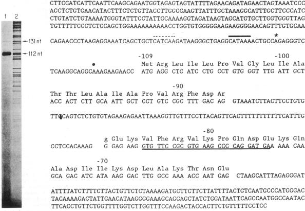 graphic file with name pnas00290-0440-a.jpg