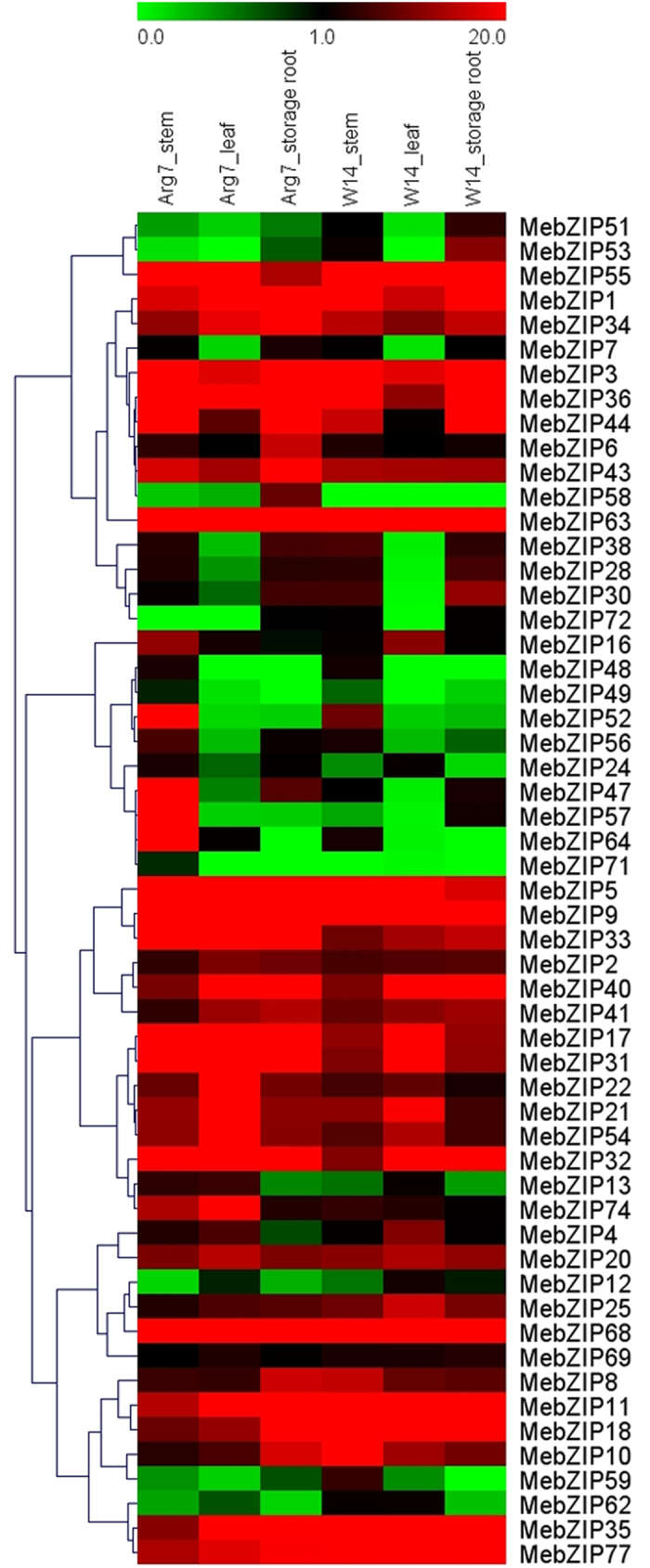 Figure 4