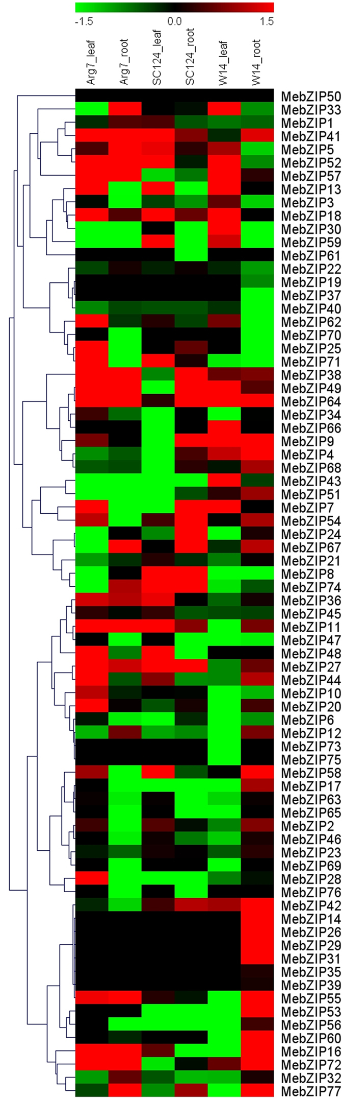 Figure 5