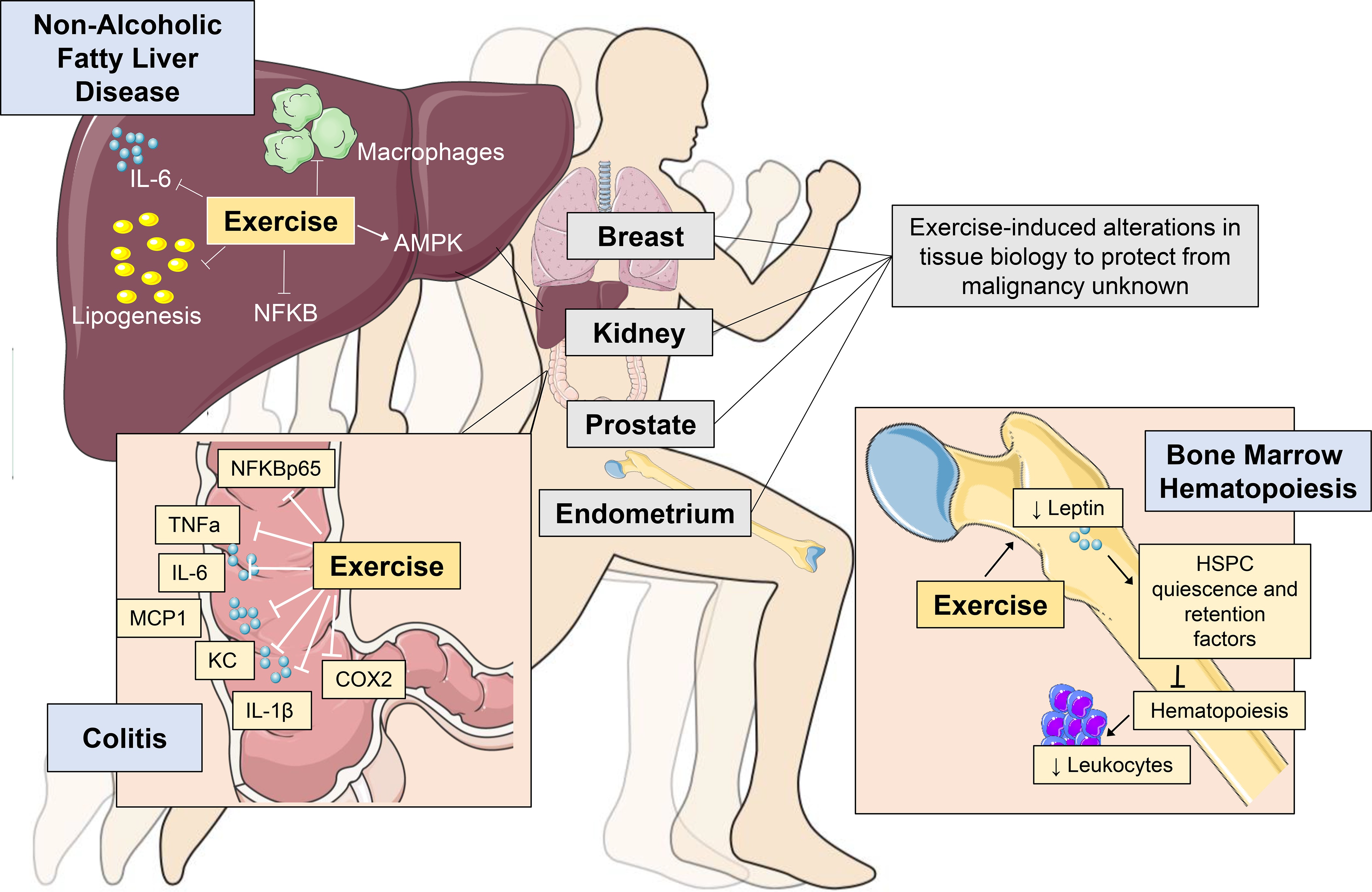 Figure 1: