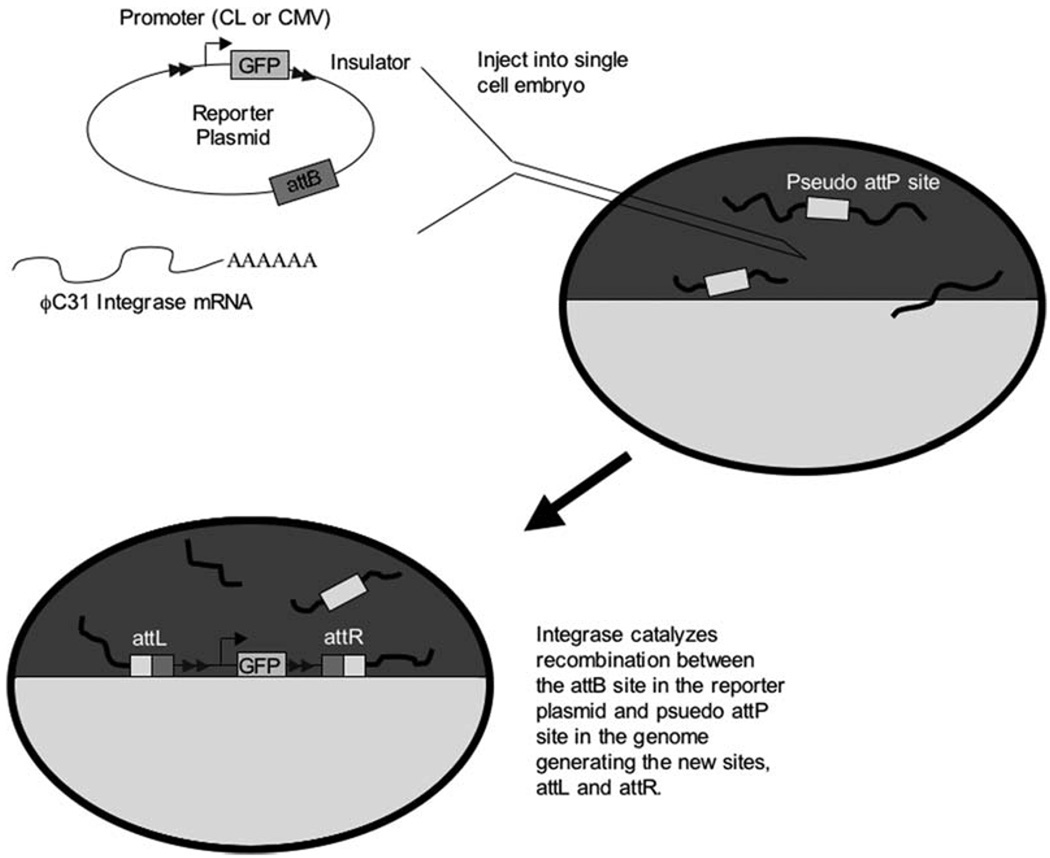 Fig. 9.1