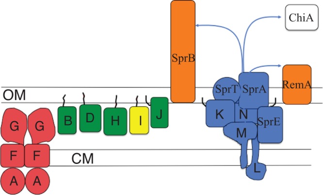 Fig 1