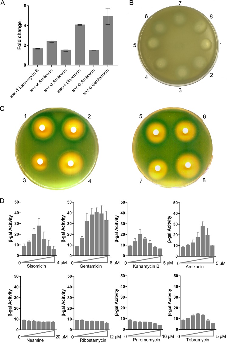 FIG 2