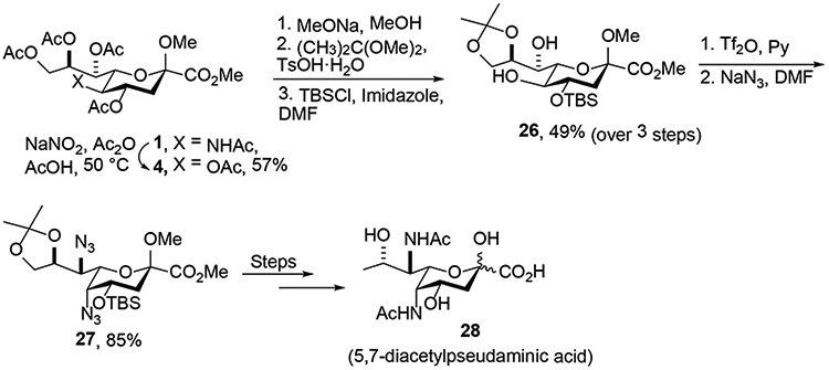 Scheme 6.