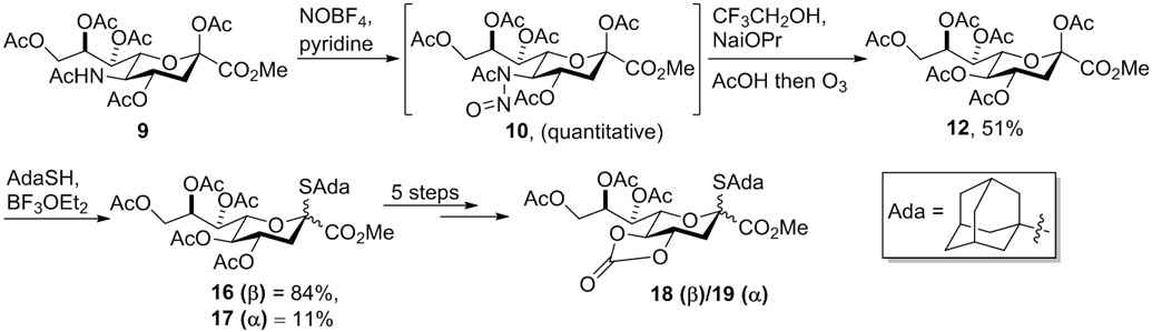 Scheme 4.