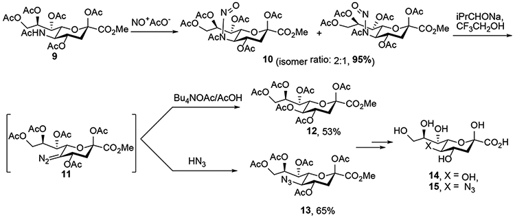 Scheme 3.