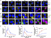 Fig. 3.