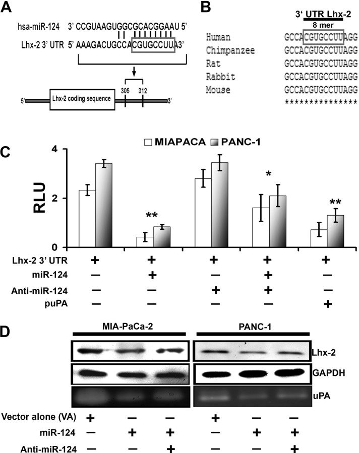 FIGURE 4: