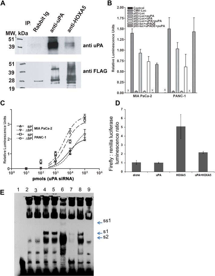 FIGURE 6: