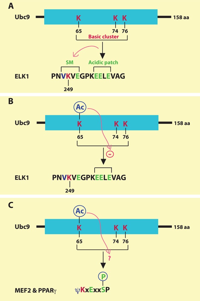 Figure 2.