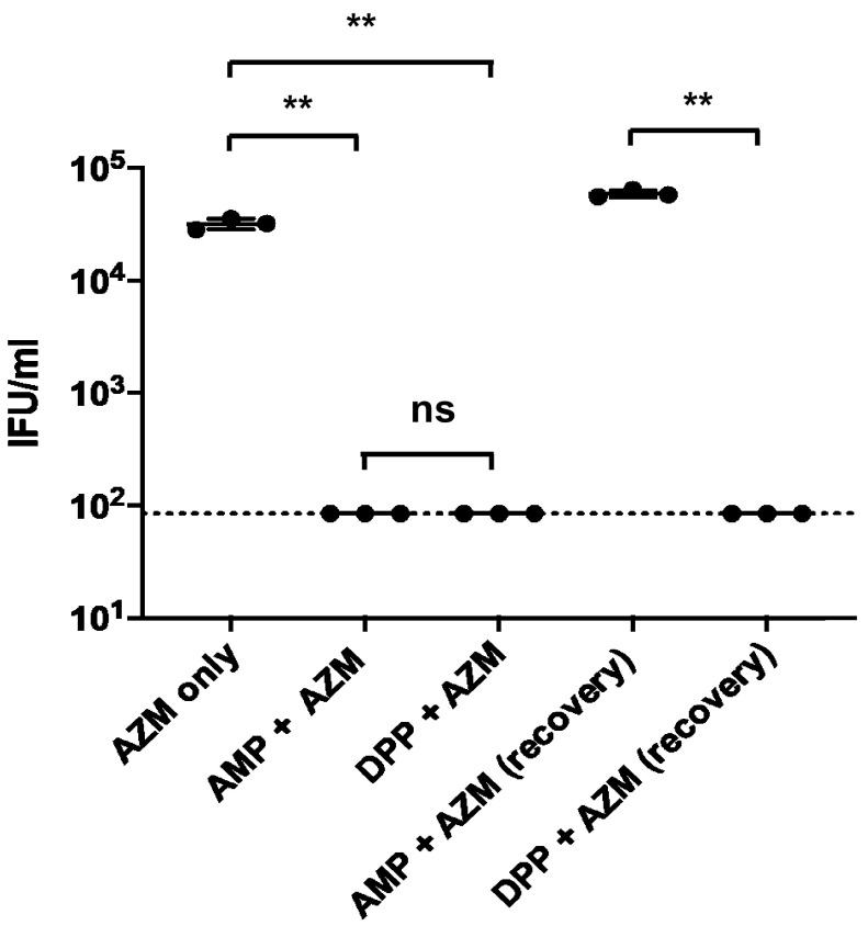 FIG 7