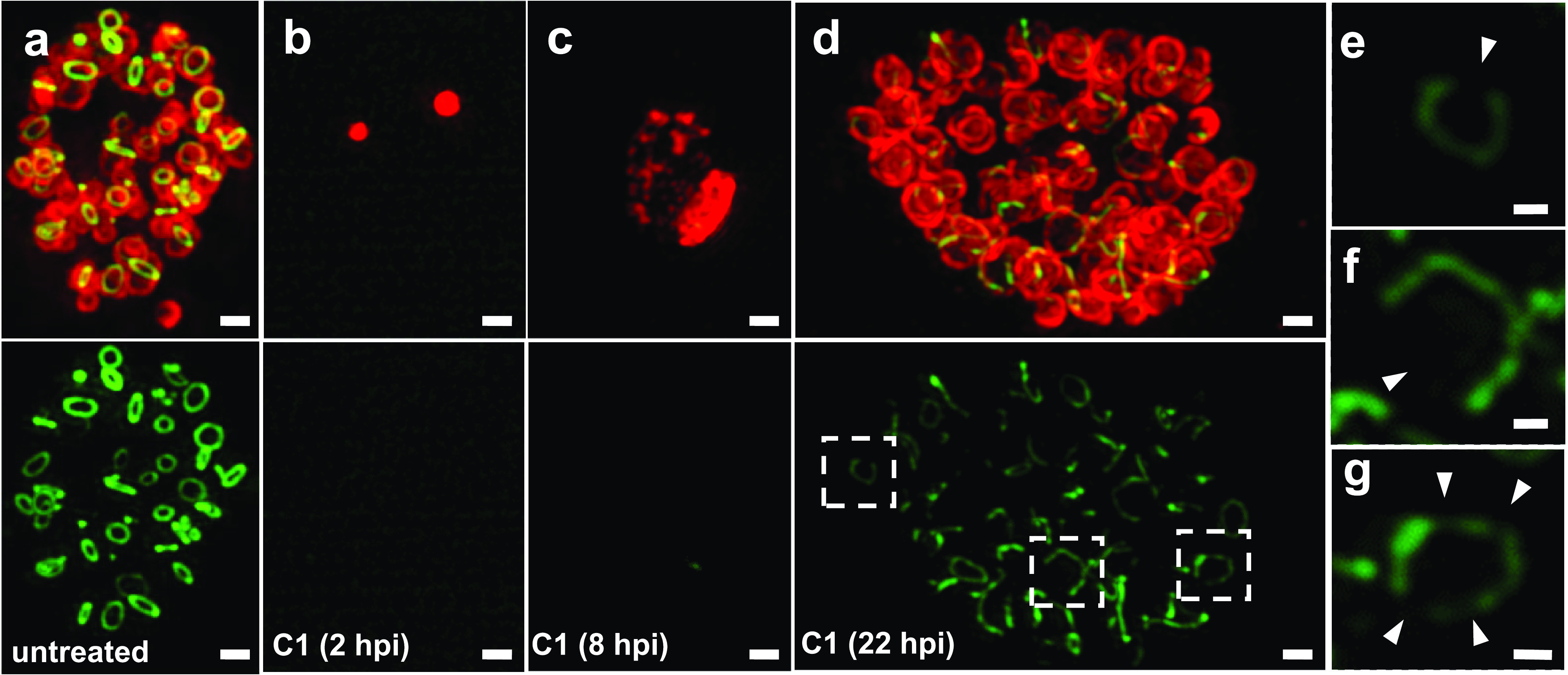 FIG 4