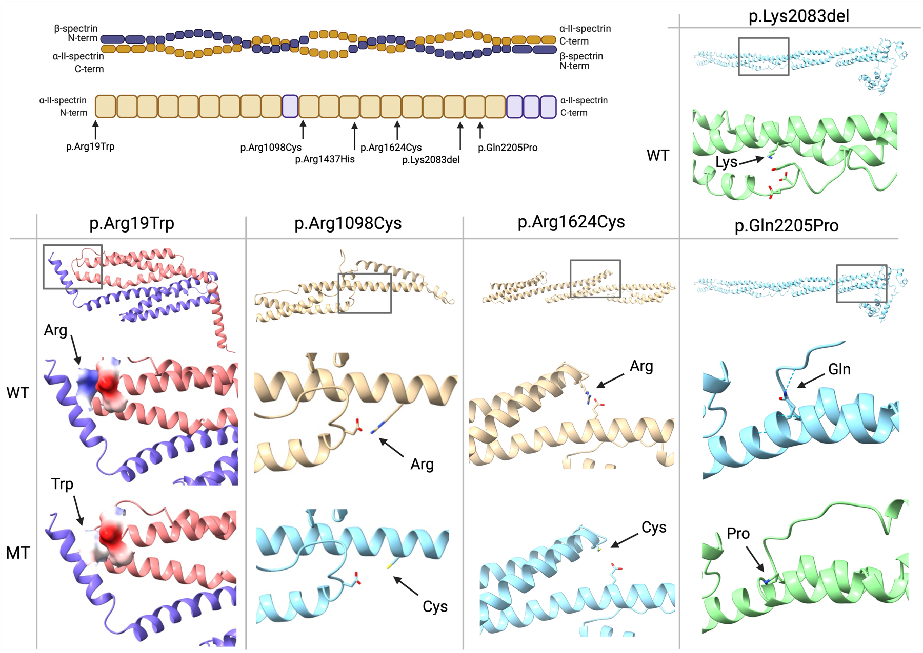 Figure 4: