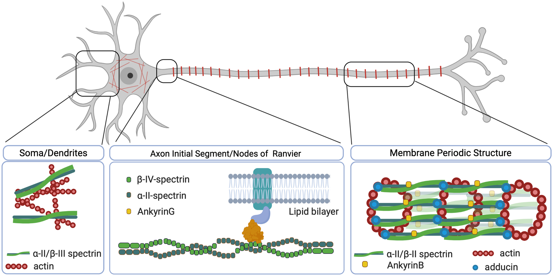 Figure 1: