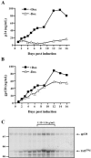 FIG. 1.