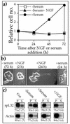 FIG. 1.