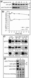 FIG. 8.