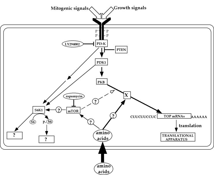 FIG. 9.