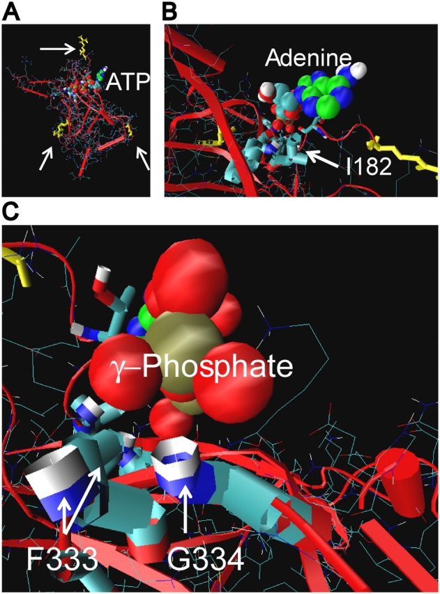 Figure 6.