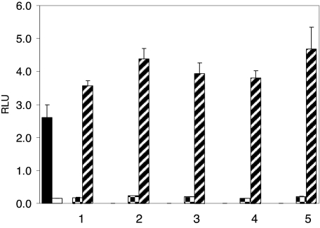 Figure 5