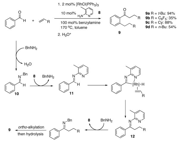 Scheme 2