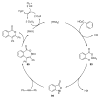 Scheme 8