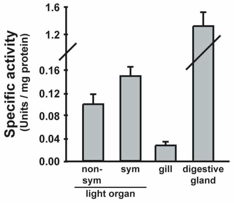 Fig. 8