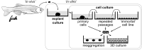 FIG. 1.