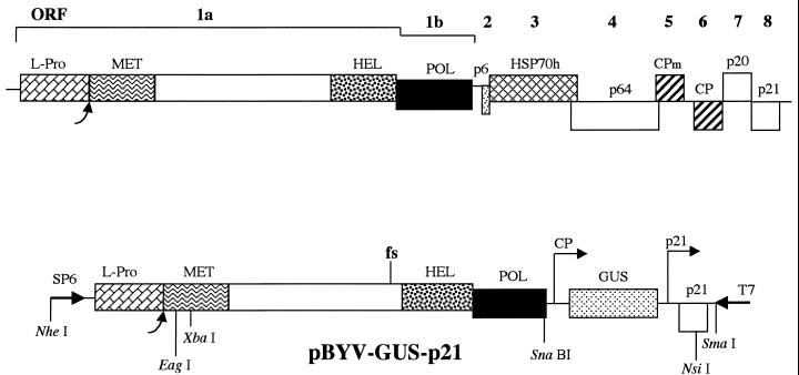 FIG. 1