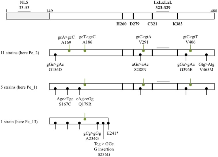 FIGURE 1