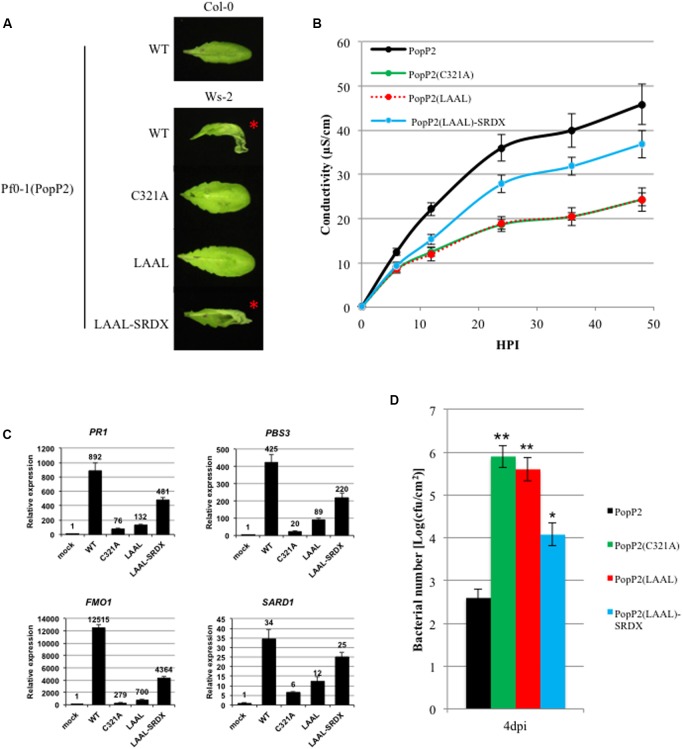 FIGURE 3