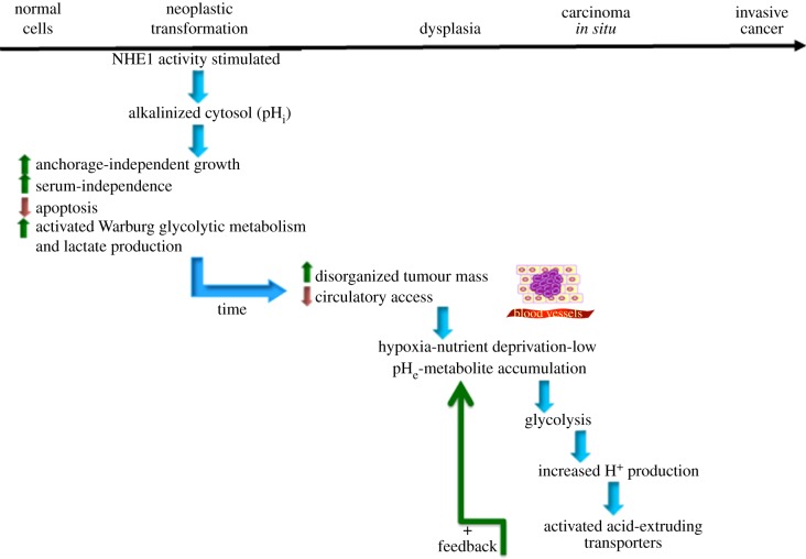 Figure 3.