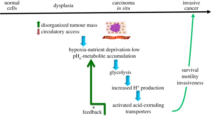 Figure 1.